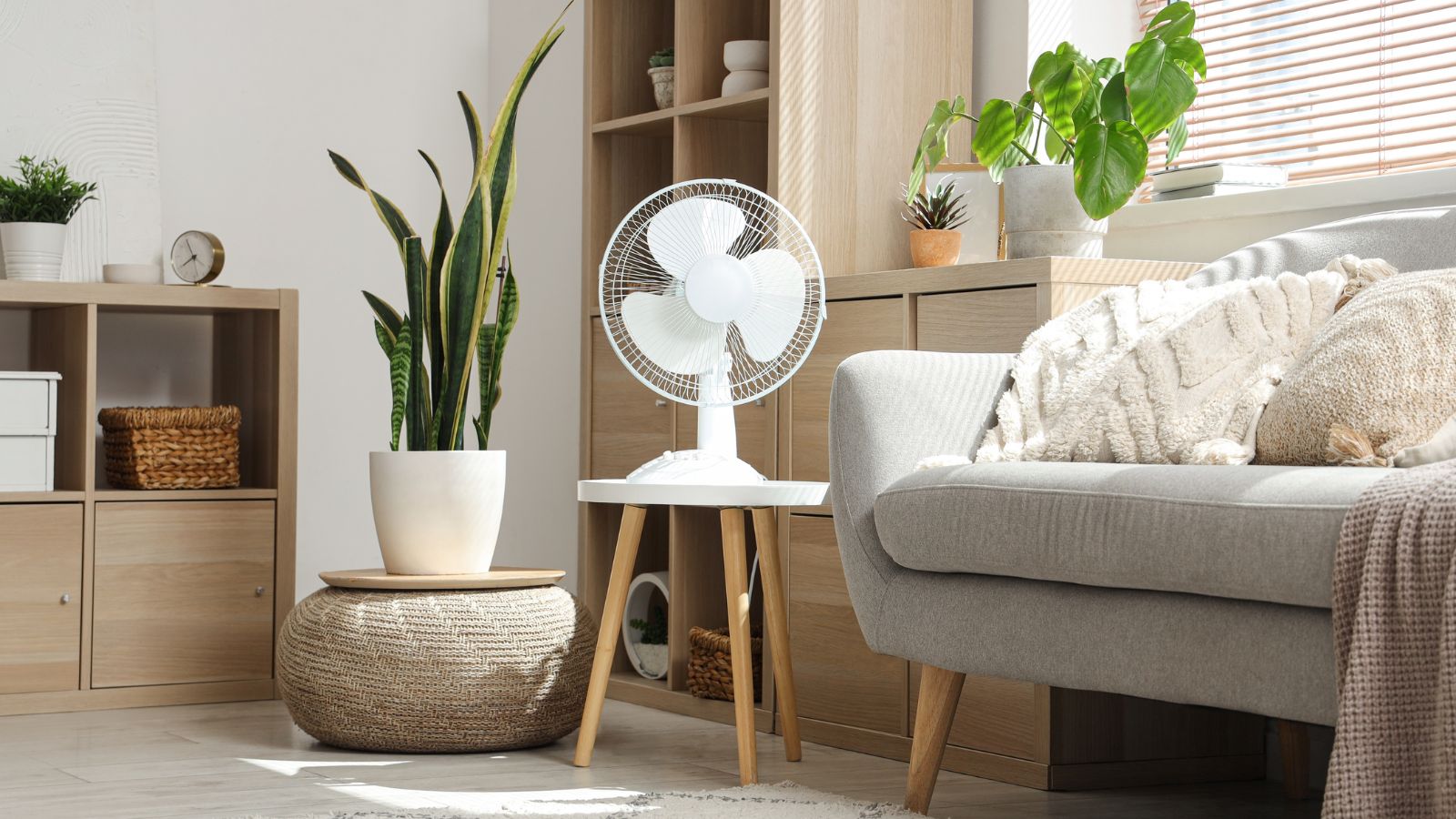 A phot of a comfy living area with a grey sofa and desk fan sitting a top of a stool-like table in the center of the room, with various potted plants atop shelves and other decorations.